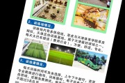 “电竞行业仿效足球青训：开云体育深刻分析更加系统化梯队培养对人才储备的正面影响”