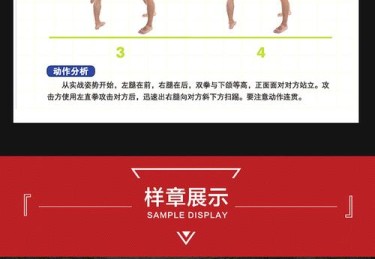 「开云体育app称赞UFC自由搏击的开放性：功夫、军体拳等传统技艺也能融入缤纷打法」