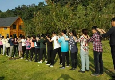 「定期举办线下见面会：开云体育官网讲述玩家可与平台管理对话，倾诉改进建议并交流心得」