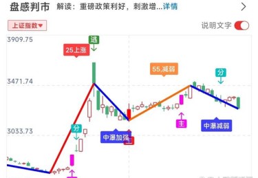 「大盘与小注各有精彩：开云体育领衔对比土豪桌与普通场下注氛围与进程的显著差别」