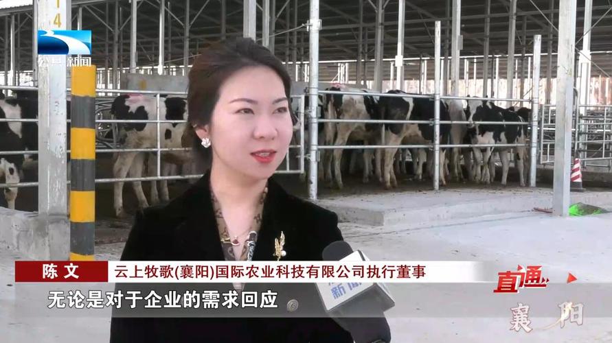 开云体育官网:真人百家乐中奖故事,开云体育玩家如何实现梦想