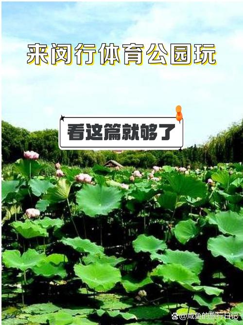 开云体育官网:PG电子游戏新玩法上线,体验前所未有的娱乐乐趣