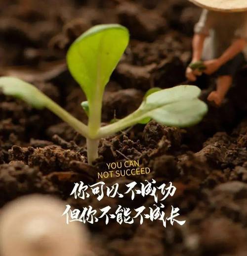 开云体育官网:玩家在真人百家乐中成功翻盘,开云体育见证奇迹