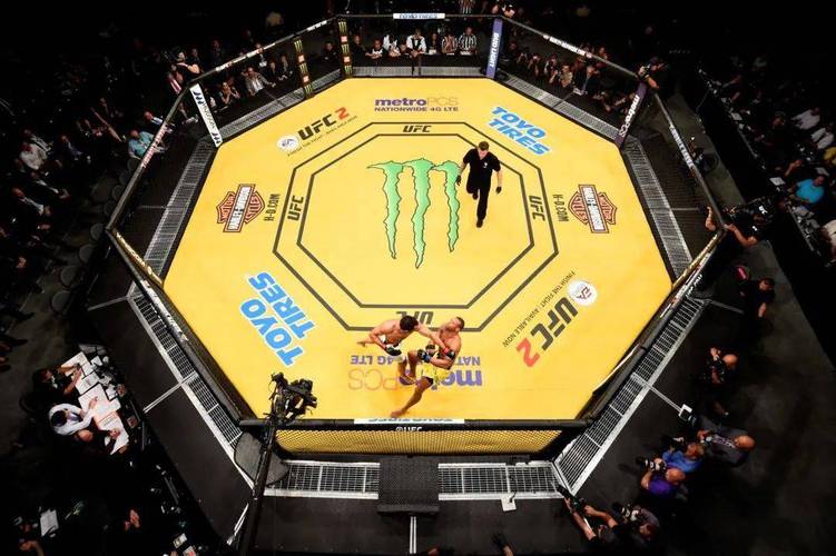「开云体育追忆UFC昔日传奇退役场面:老将最后一次踏入八角笼的感慨与观众热泪」